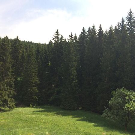 Appartements Und Ferienhaus Gasthof Kanzlersgrund Oberhof  Zewnętrze zdjęcie