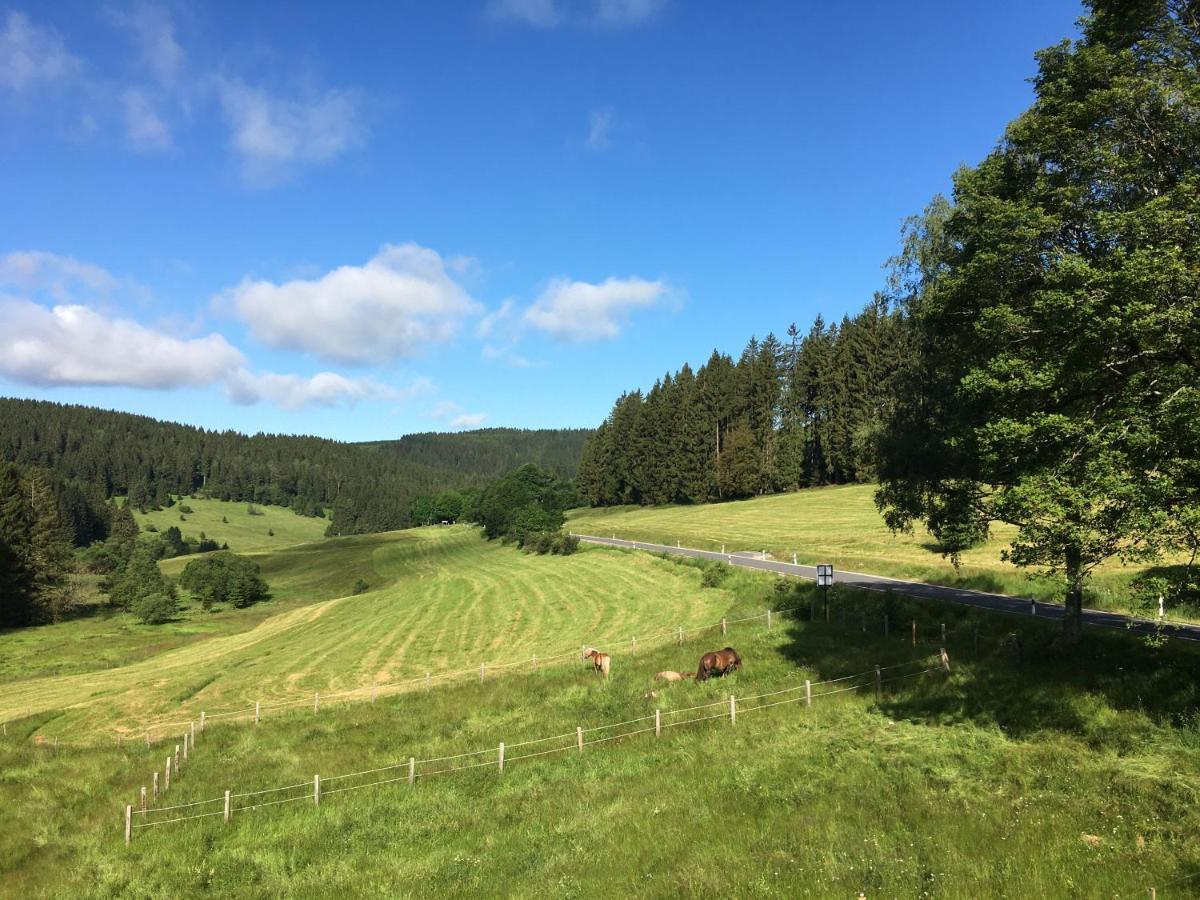 Appartements Und Ferienhaus Gasthof Kanzlersgrund Oberhof  Zewnętrze zdjęcie