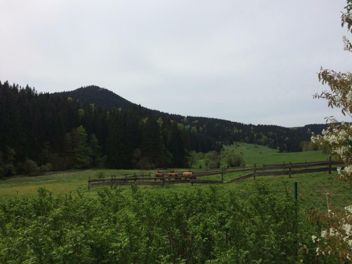 Appartements Und Ferienhaus Gasthof Kanzlersgrund Oberhof  Zewnętrze zdjęcie